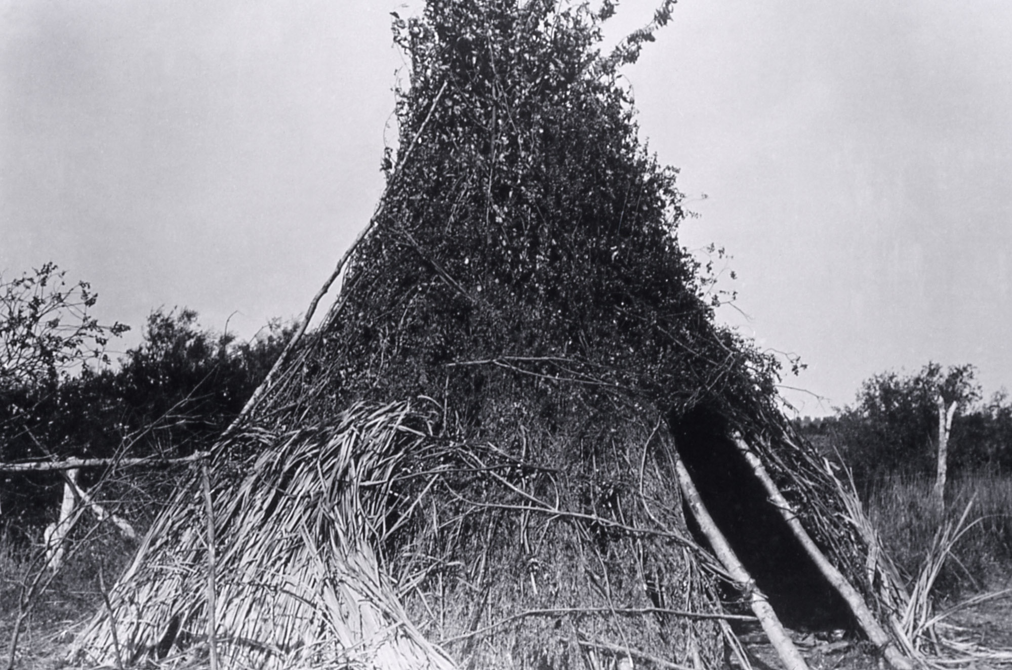Bannock wickiup; Photographer unknown; 1871; History - Indians