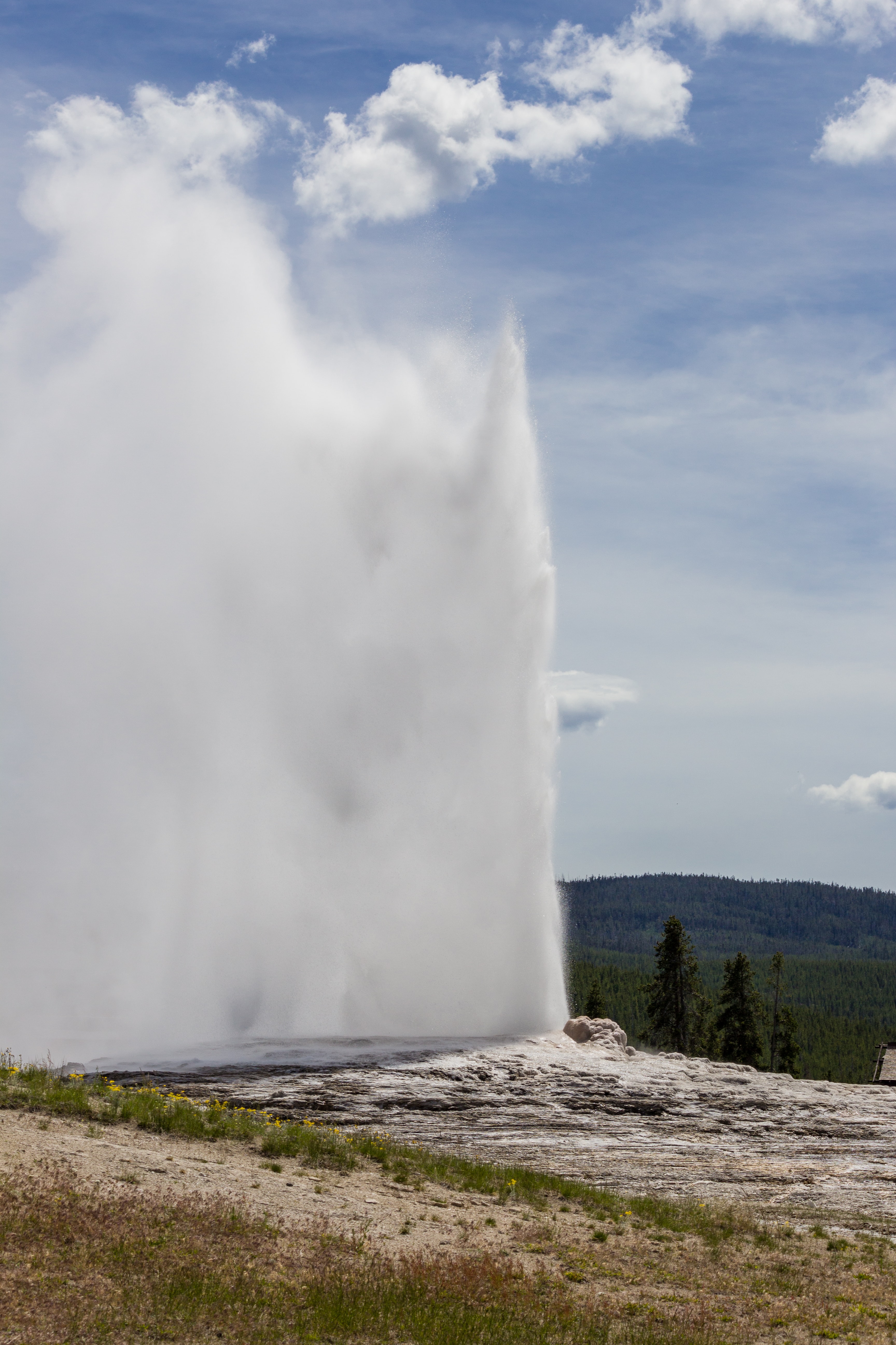 Photo credit: Unsplash - Jeffrey Hamilton